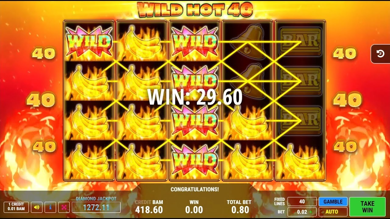 Wild Hot 40